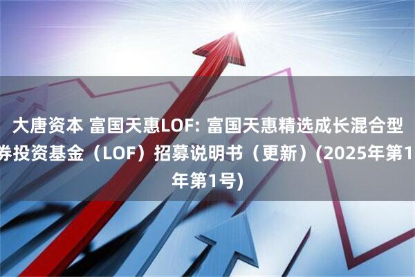 大唐资本 富国天惠LOF: 富国天惠精选成长混合型证券投资基金(LOF)招募说明书(更新)(2025年第1号)