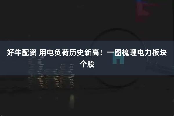 好牛配资 用电负荷历史新高！一图梳理电力板块个股