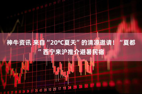 神牛资讯 来自“20℃夏天”的清凉邀请！“夏都”西宁来沪推介避暑民宿