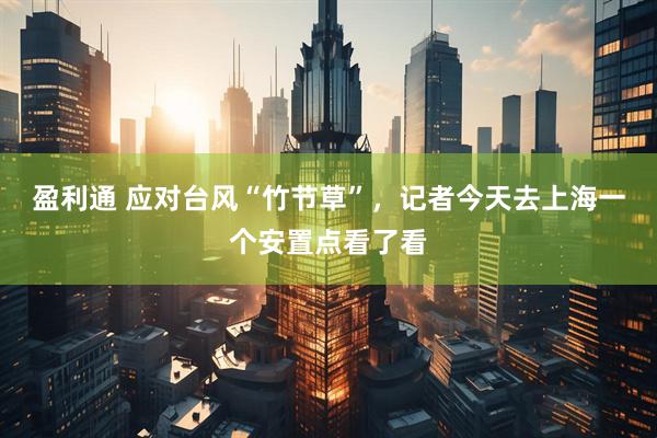盈利通 应对台风“竹节草”，记者今天去上海一个安置点看了看
