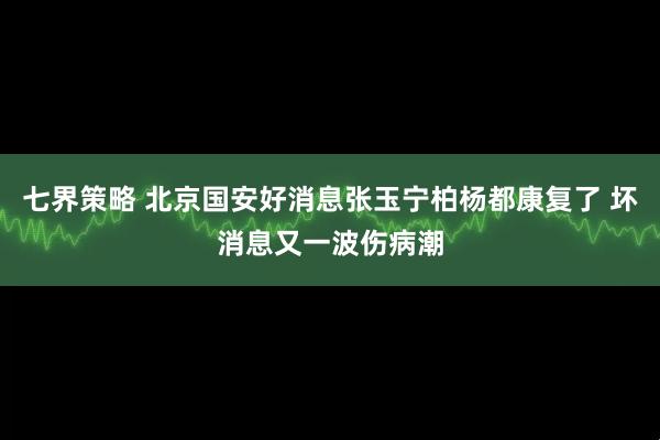 七界策略 北京国安好消息张玉宁柏杨都康复了 坏消息又一波伤病潮