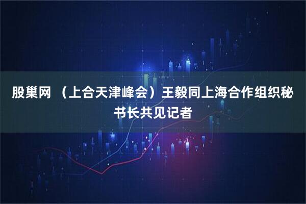 股巢网 （上合天津峰会）王毅同上海合作组织秘书长共见记者