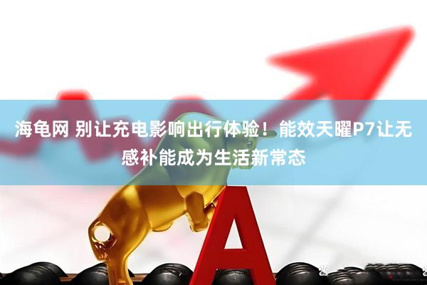 海龟网 别让充电影响出行体验！能效天曜P7让无感补能成为生活新常态
