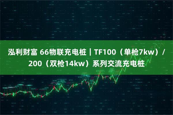 泓利财富 66物联充电桩｜TF100（单枪7kw）/200（双枪14kw）系列交流充电桩