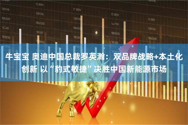 牛宝宝 奥迪中国总裁罗英瀚：双品牌战略+本土化创新 以“豹式敏捷”决胜中国新能源市场