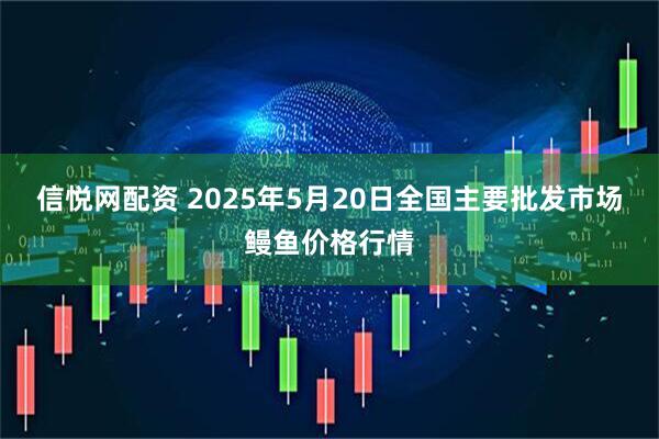 信悦网配资 2025年5月20日全国主要批发市场鳗鱼价格行情