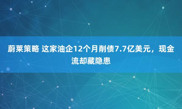 蔚莱策略 这家油企12个月削债7.7亿美元，现金流却藏隐患