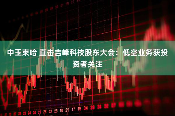 中玉束哈 直击吉峰科技股东大会：低空业务获投资者关注