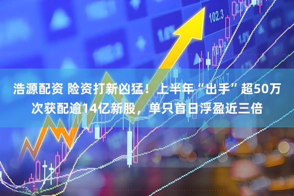 浩源配资 险资打新凶猛！上半年“出手”超50万次获配逾14亿新股，单只首日浮盈近三倍