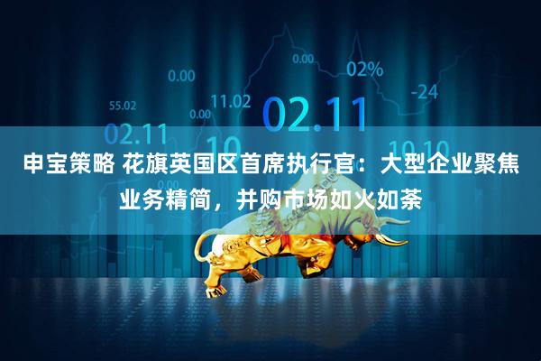 申宝策略 花旗英国区首席执行官：大型企业聚焦业务精简，并购市场如火如荼